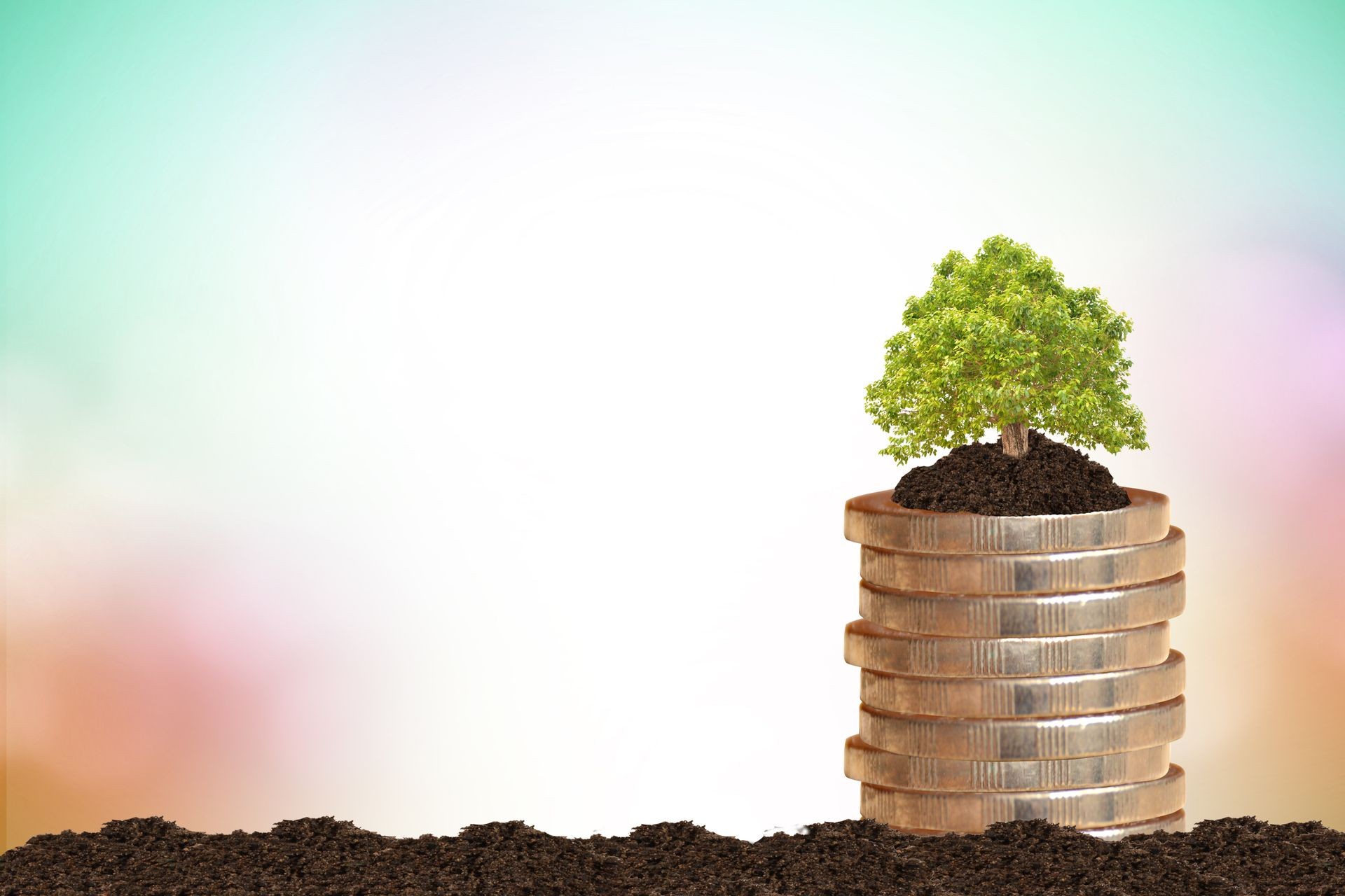 Sustainable finance concepts.tree on a pile of coins is planted in the soil.blur natural background blur